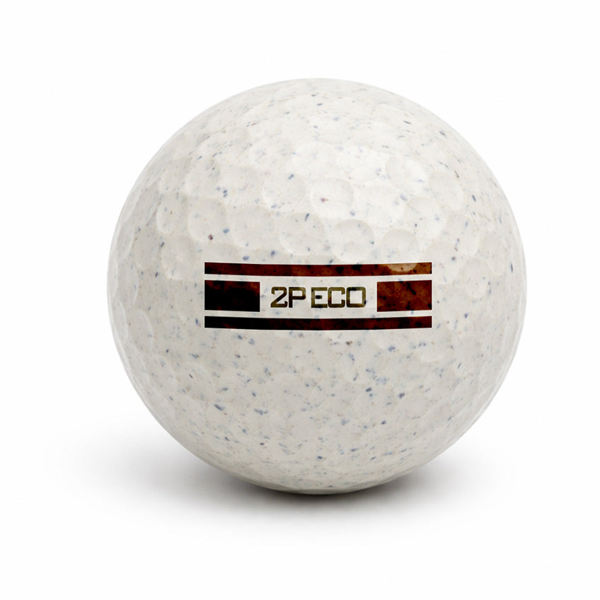 ECO 2P