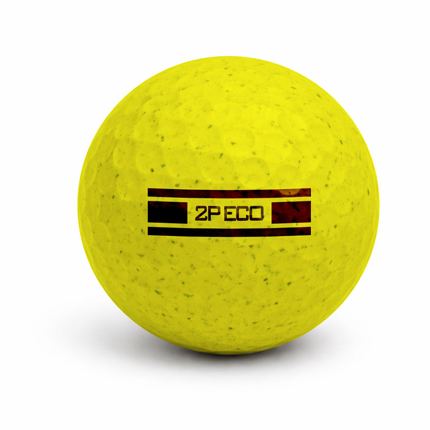 ECO 2P